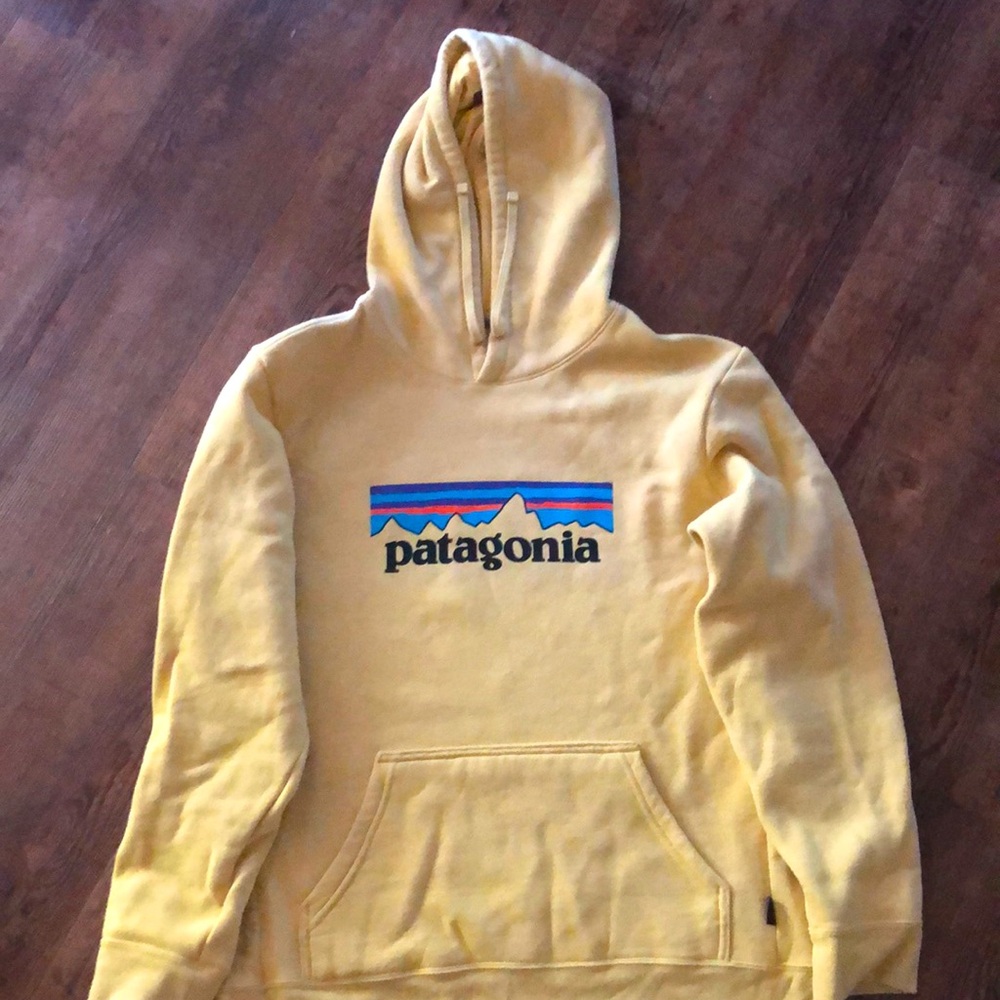 Patagonia Women’s XL sweatshirt. Worn only a few times.